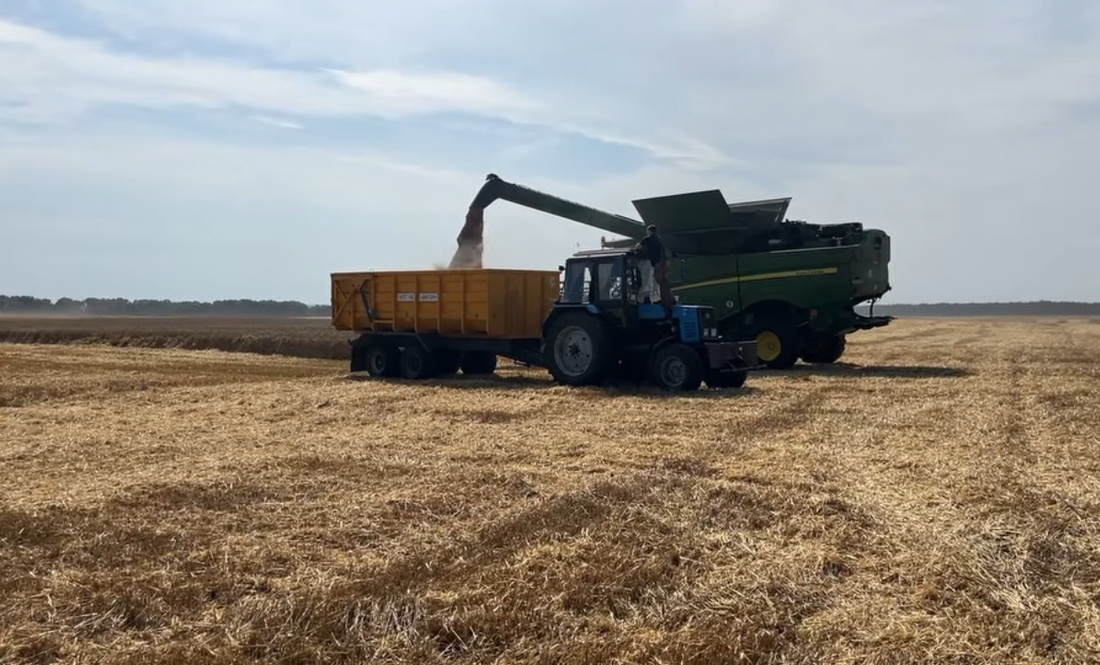 Жнива на Чернігівщині: чого вже зібрали найбільше