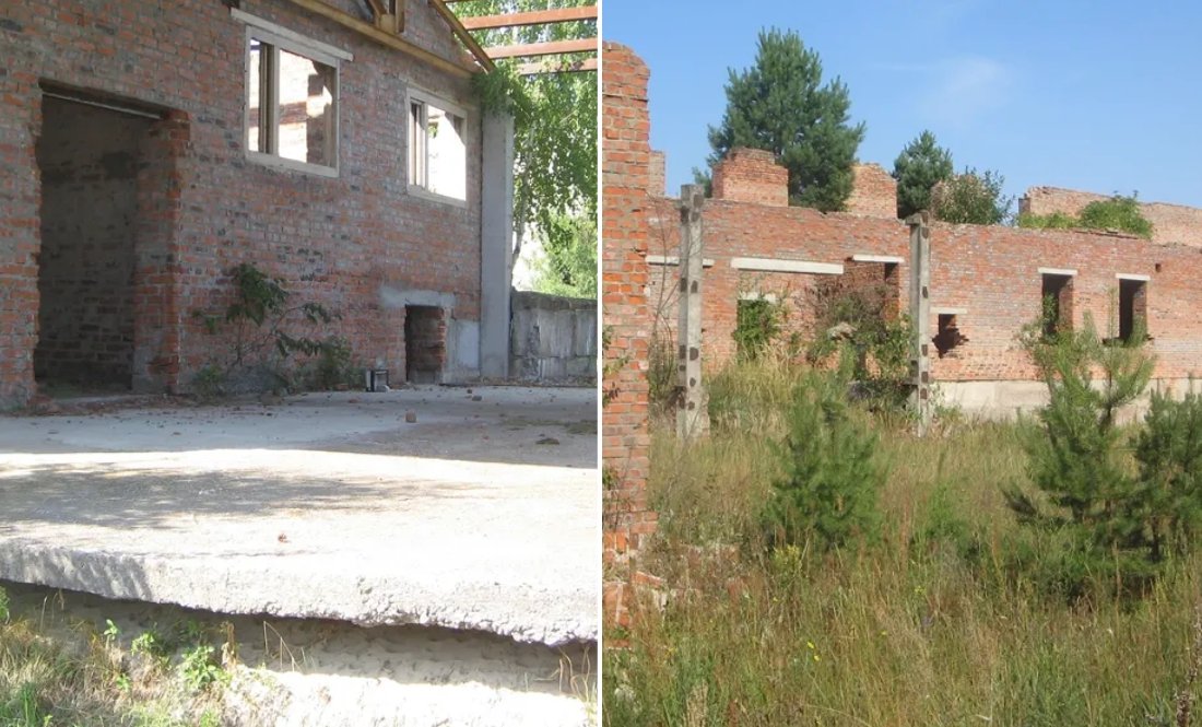 На Чернігівщині за зарослий лісом довгобуд планують виручити понад 10 млн грн