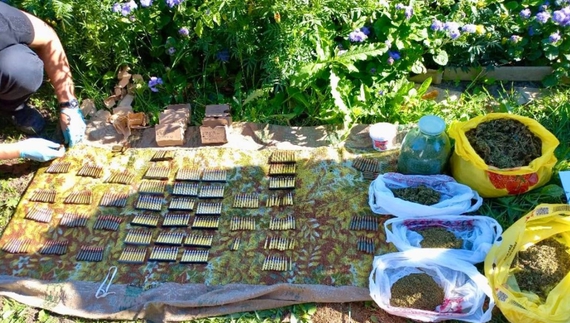 Поліція викрила корюківця на вирощуванні конопель і зберіганні боєприпасів