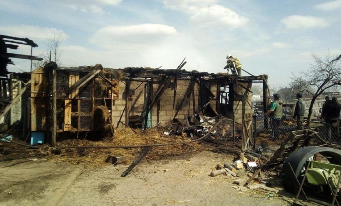 У селі на Чернігівщині в пожежі загинула домашня худоба