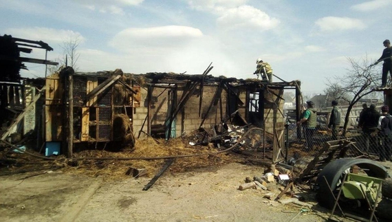 У селі на Чернігівщині в пожежі загинула домашня худоба