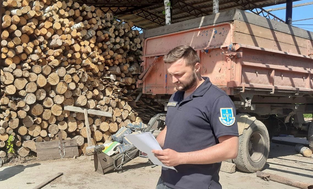 Напиляв лісу на мільйон: фермеру із Чернігівщини вручили підозру