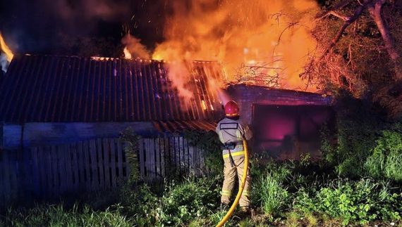 Виїзди на пожежі, розмінування та порятунок тварини: ДСНСники показали як працювали протягом тижня