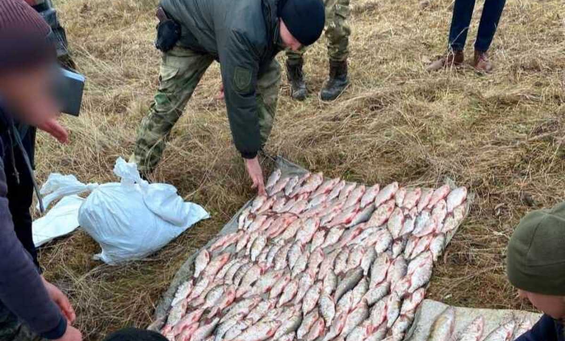 У Чернігові затримали браконьєрів – тягали сітками рибу із Стрижня