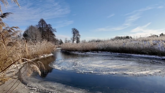 На Чернігівщині виявили ще одне крижане коло на річці. Відео з групи "Рідна Семенівка"