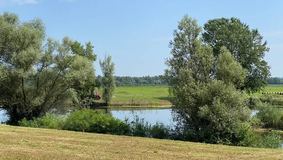 На Чернігівщині тривають пошуки зниклого хлопчика - пішов купатися і не повернувся