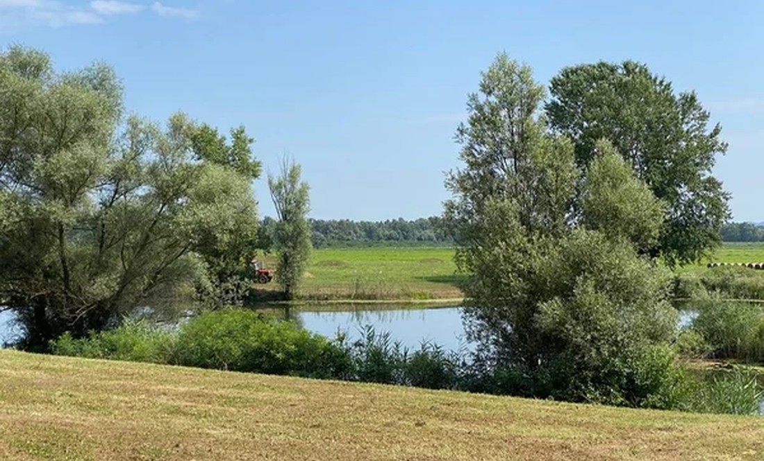 На Чернігівщині тривають пошуки зниклого хлопчика - пішов купатися і не повернувся