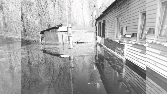 Затоплене житло на Сновщині