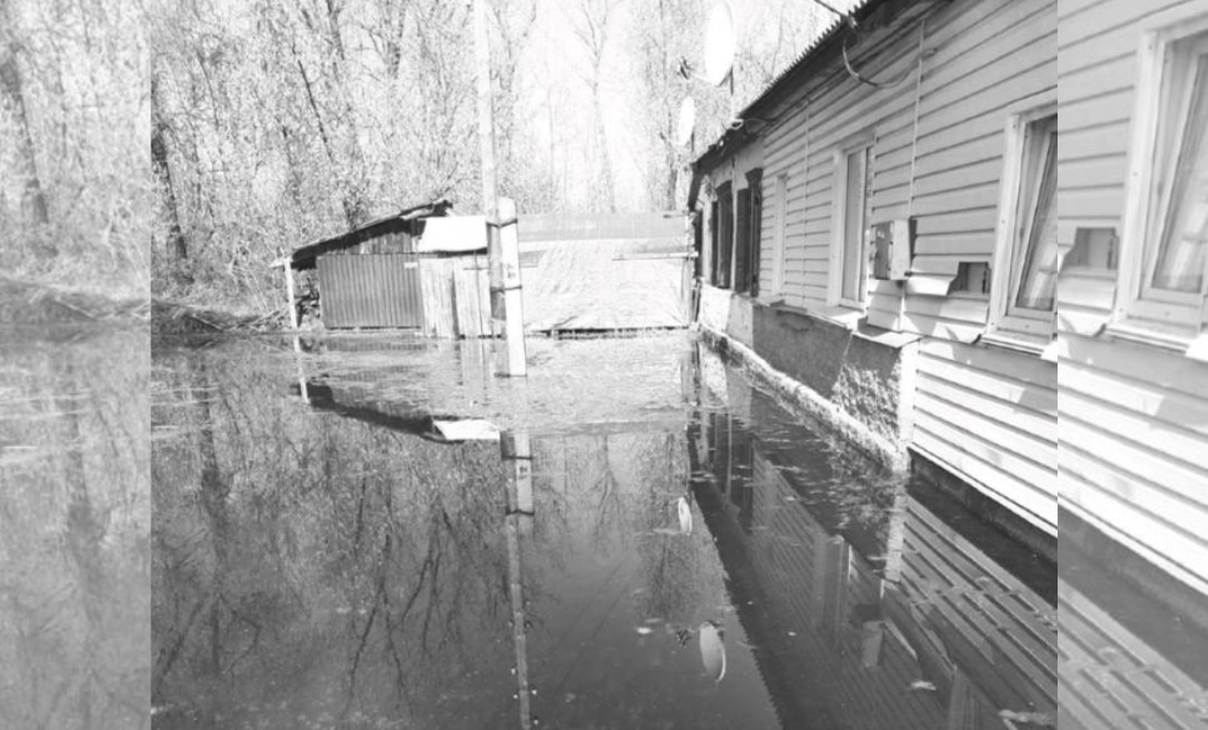 Затоплене житло на Сновщині