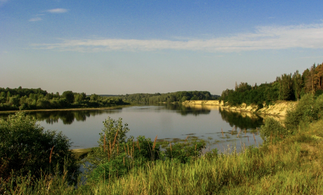 Регіональний ландшафтний парк «Міжрічинський»