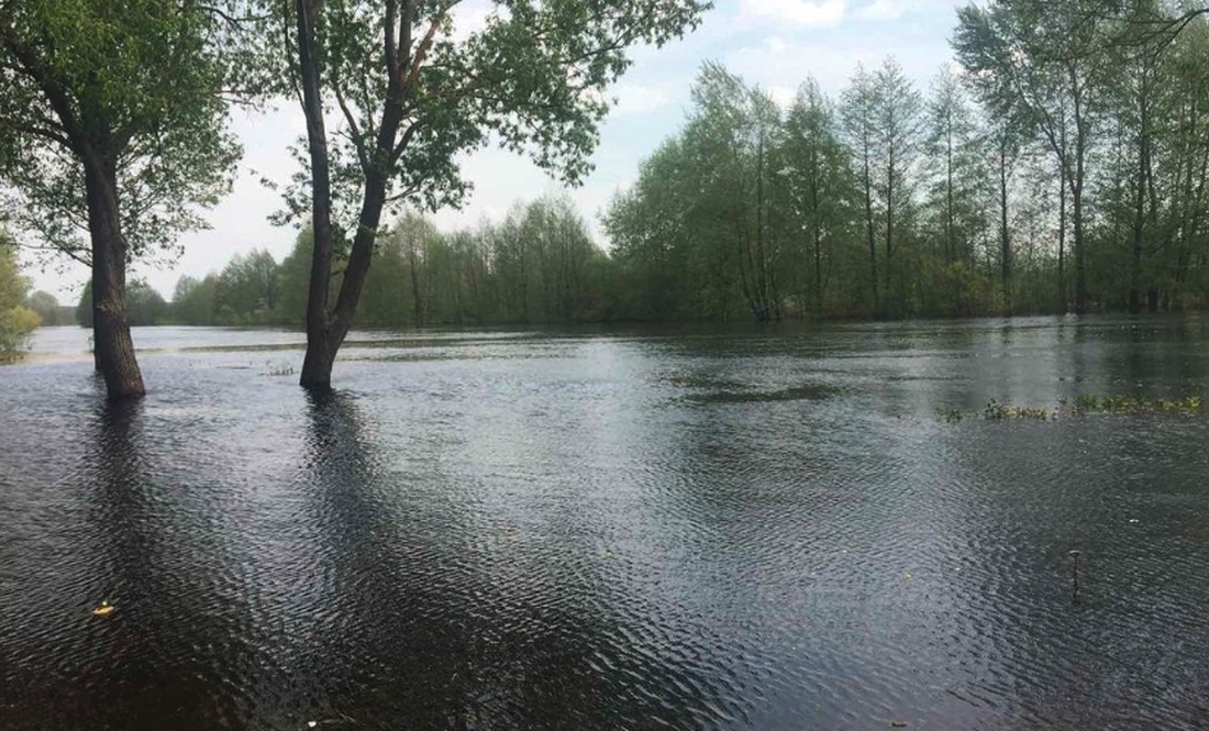 Дніпровська вода розлилася на дороги та вулиці у двох громадах Чернігівщини