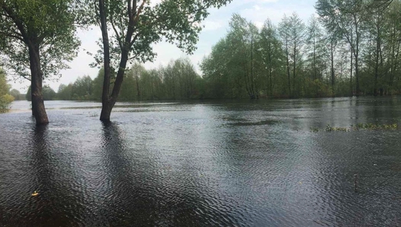 Дніпровська вода розлилася на дороги та вулиці у двох громадах Чернігівщини