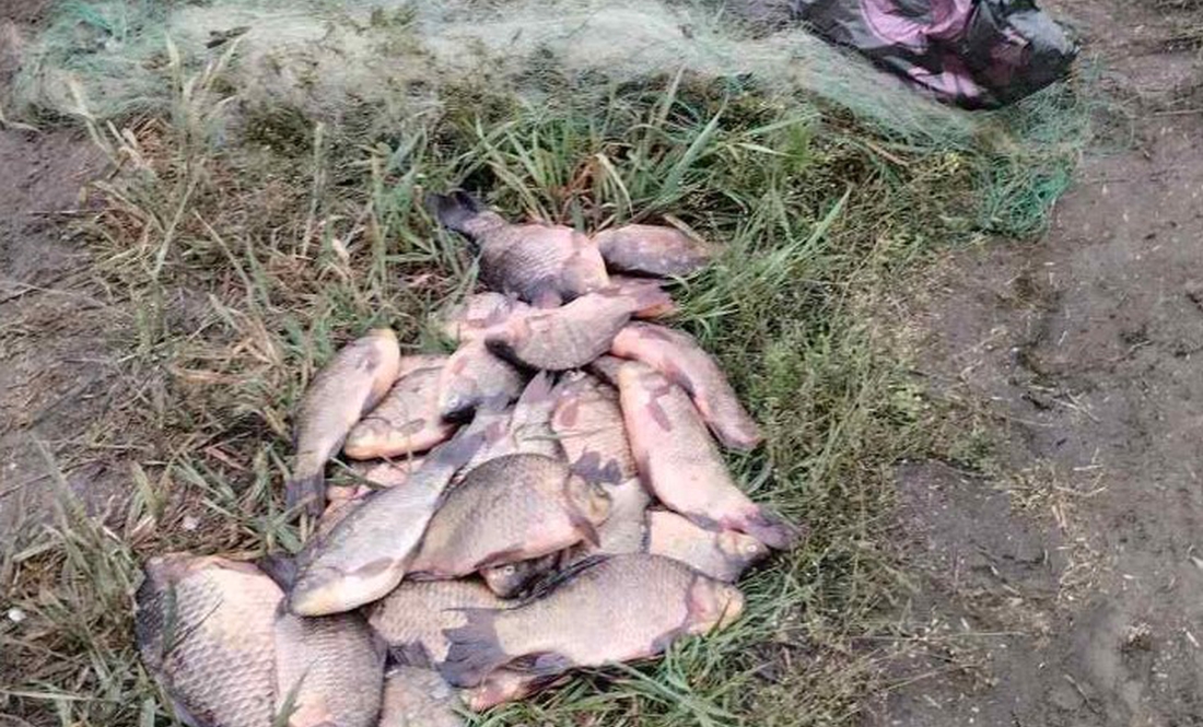 На Чернігівщині затримали браконьєра з уловом на 100 тисяч гривень