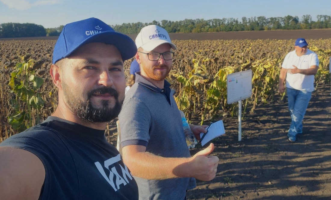 Брати Синенки