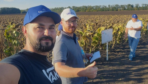 Брати Синенки