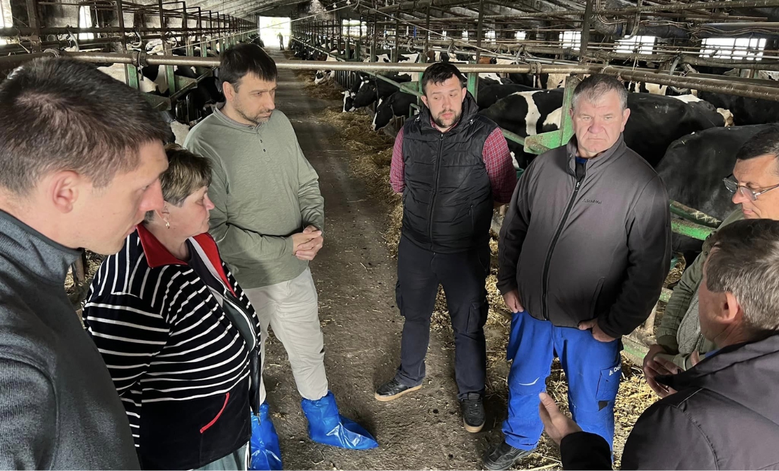 Швейцарія допомагає Україні покращити якість молочних продуктів