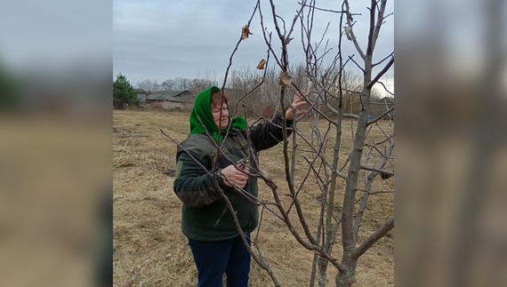Надія ДЗЮБА, вчений агроном із села Садове, пояснює як обрізати дерева