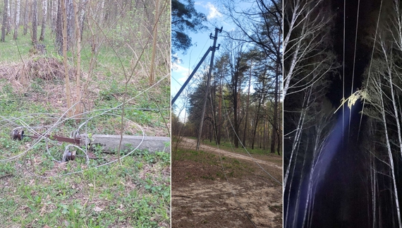 Негода наробила лиха на Чернігівщині: чи у всіх вже є світло