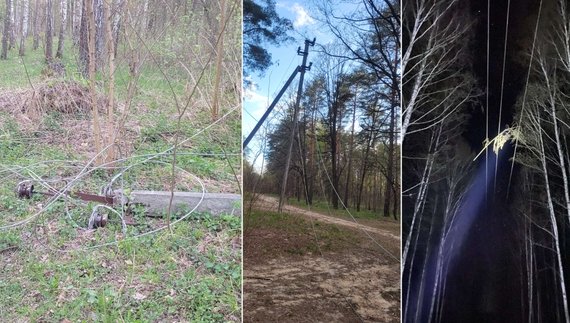 Негода наробила лиха на Чернігівщині: чи у всіх вже є світло