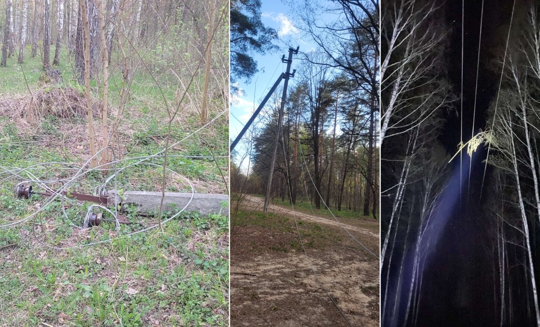 Негода наробила лиха на Чернігівщині: чи у всіх вже є світло