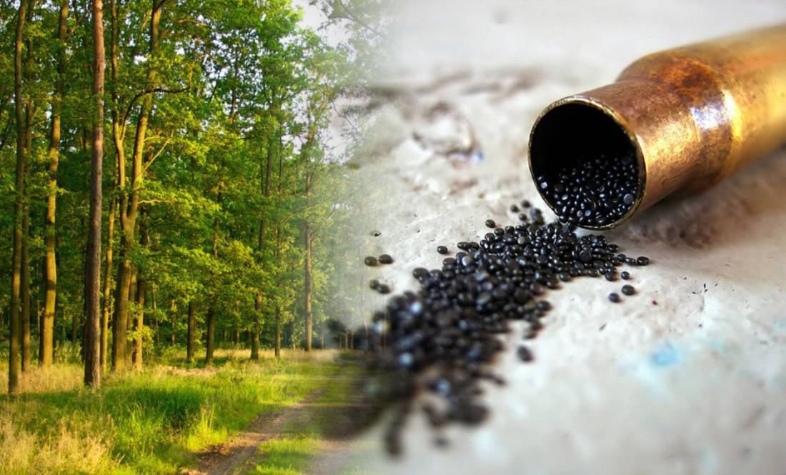 На Чернігівщині чоловік у лісі знайшов 200 грамів пороху - приніс додому