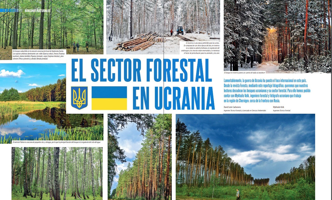 Ліси Чернігівщини –  на сторінках європейського видання