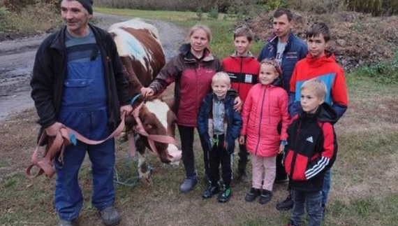 Дві родини із Прилуччини отримали молодих корівок