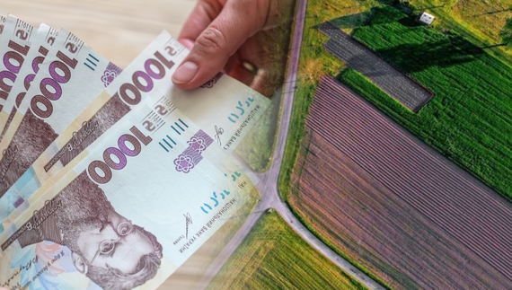На Чернігівщині через дешеву вартість ріллі активно скуповують землі