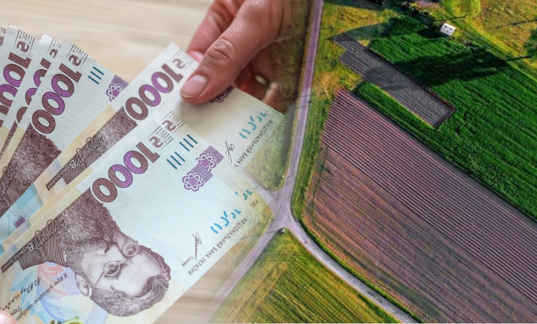 На Чернігівщині через дешеву вартість ріллі активно скуповують землі