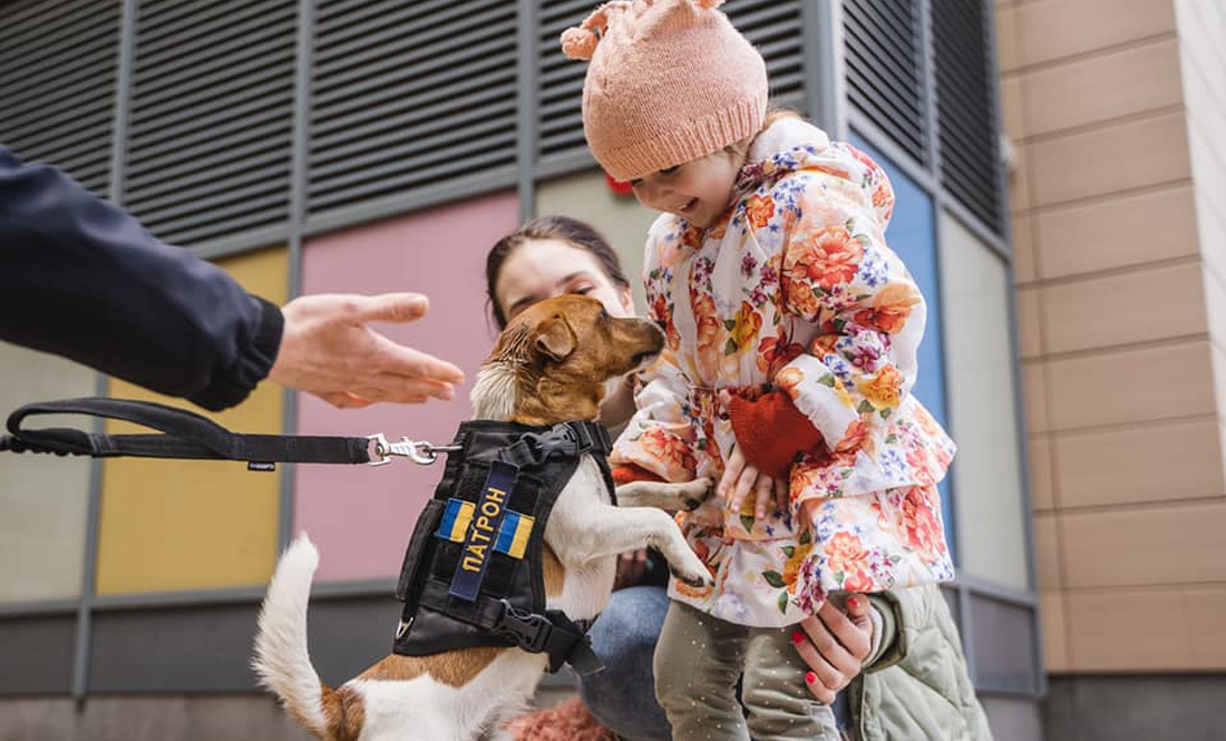 Пес-рятувальник Патрон відвідав дітей у лікарні "Охматдит"