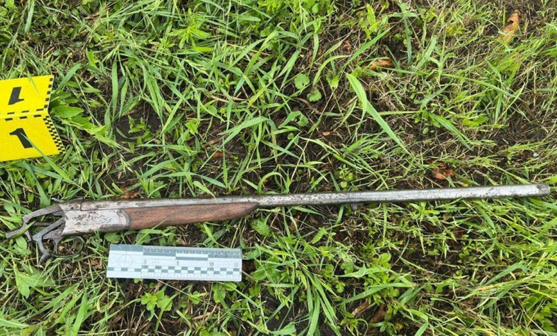 На Чернігівщині п'яний чоловік з рушниці вистрілив у невістку