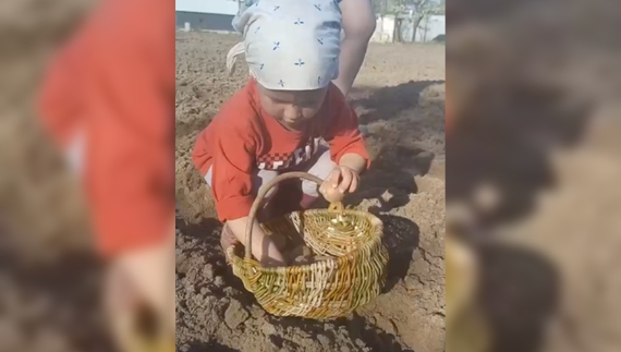 Поліна з Ягідного вже допомагає батькам