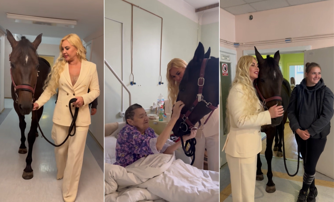 Співачка Камалія привела в лікарню... коня
