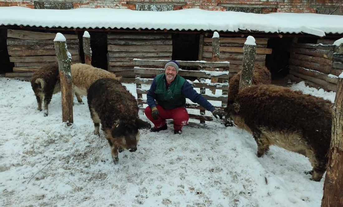 Чернігівець переїхав у село на Городнянщині, де вирощує незвичних свиней