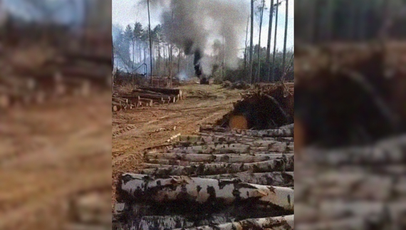 На Чернігівщині дрон атакував трактор лісівників