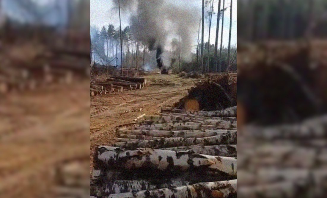 На Чернігівщині дрон атакував трактор лісівників