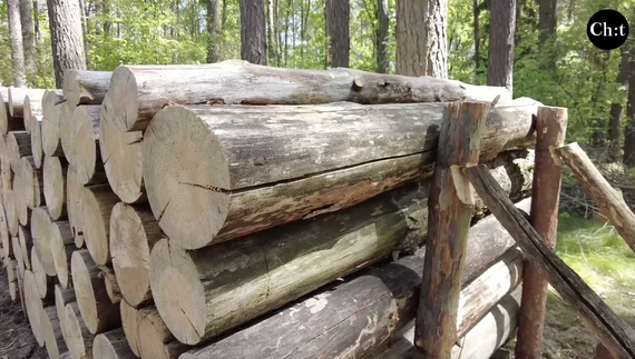 Весна і літо – найкращий час купувати дрова: як у філії «Чернігівське лісове господарство» триває процес заготівлі деревини