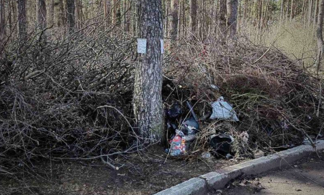 У Чернігові виявили стихійне сміттєзвалище. Прибирали... лісівники