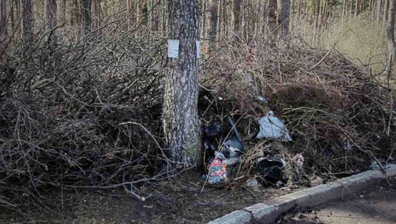 У Чернігові виявили стихійне сміттєзвалище. Прибирали... лісівники