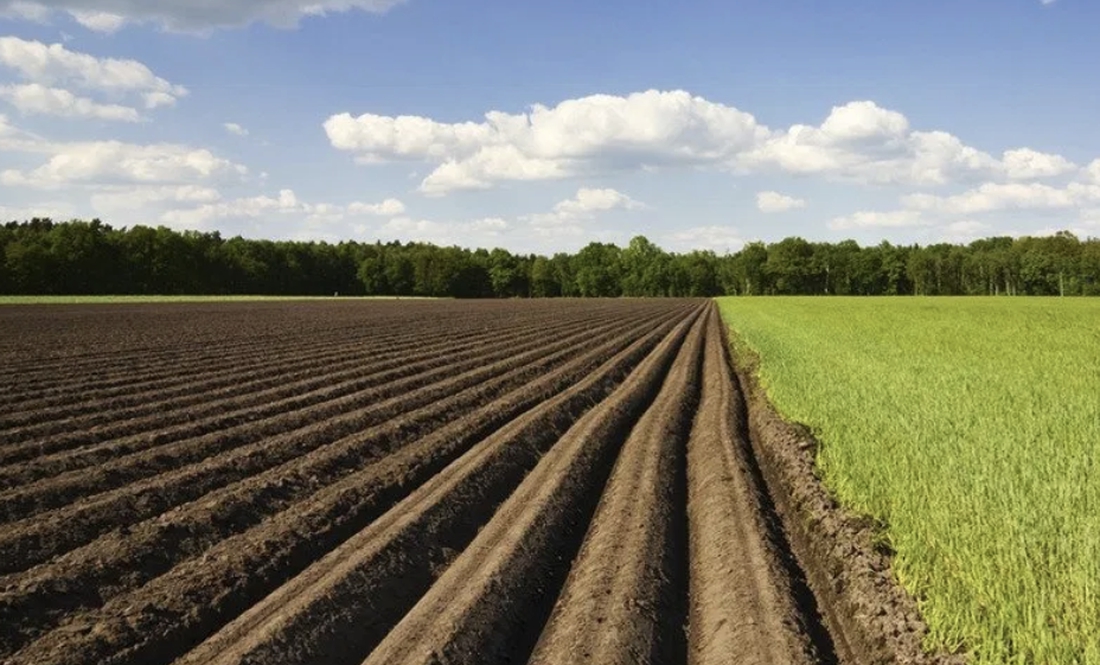 Два невитребуваних паї теж принесуть гроші громаді