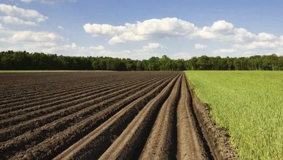 Два невитребуваних паї теж принесуть гроші громаді