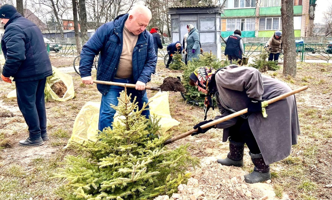 Озеленюють Остер