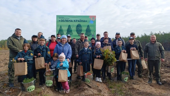 Лісівники разом із дітьми висаджували сосни