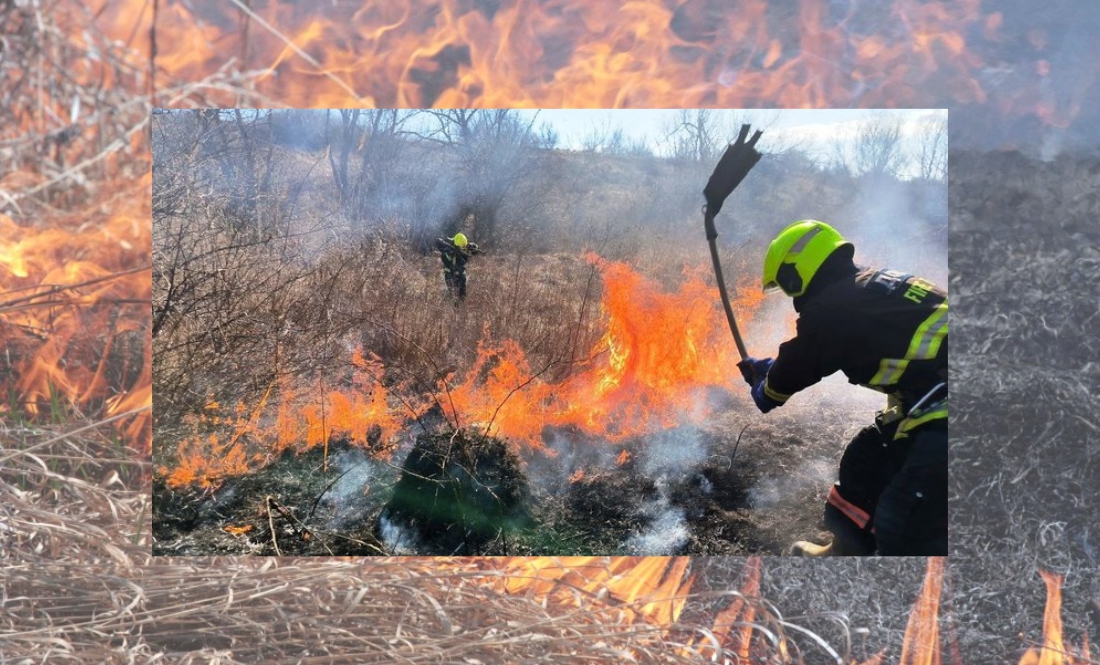 На Чернігівщині росіяни скидають запалювальну суміш із безпілотника