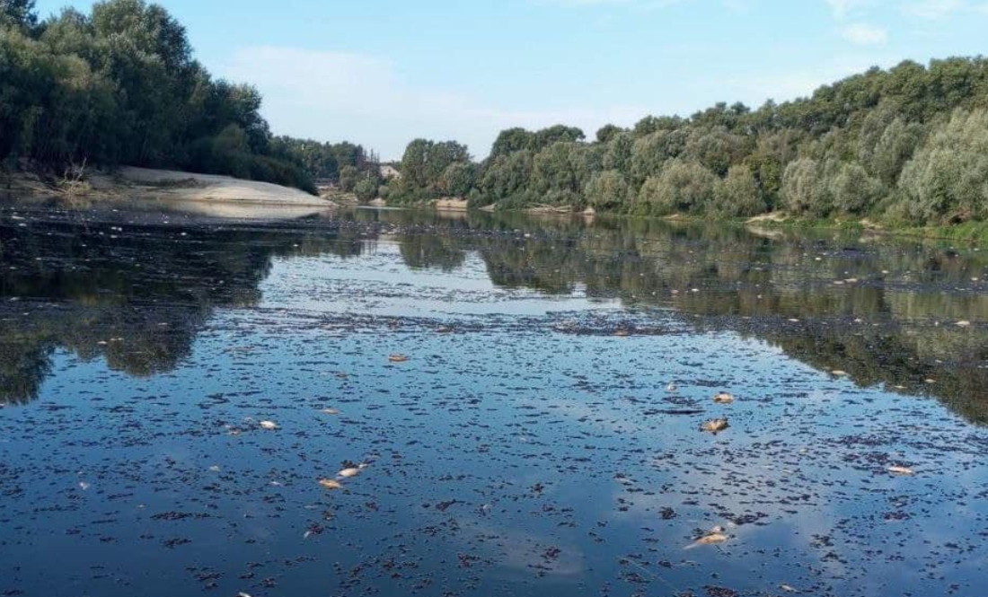 Лікар-гематолог застерігає щодо води з Десни та Сейму