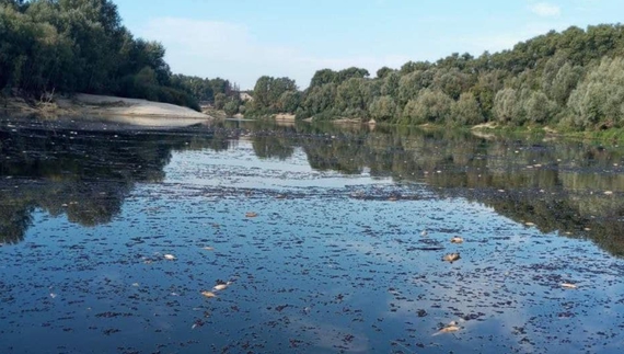 Лікар-гематолог вважає, що заражена вода з Сейму та Десни може містити компоненти ракетного палива