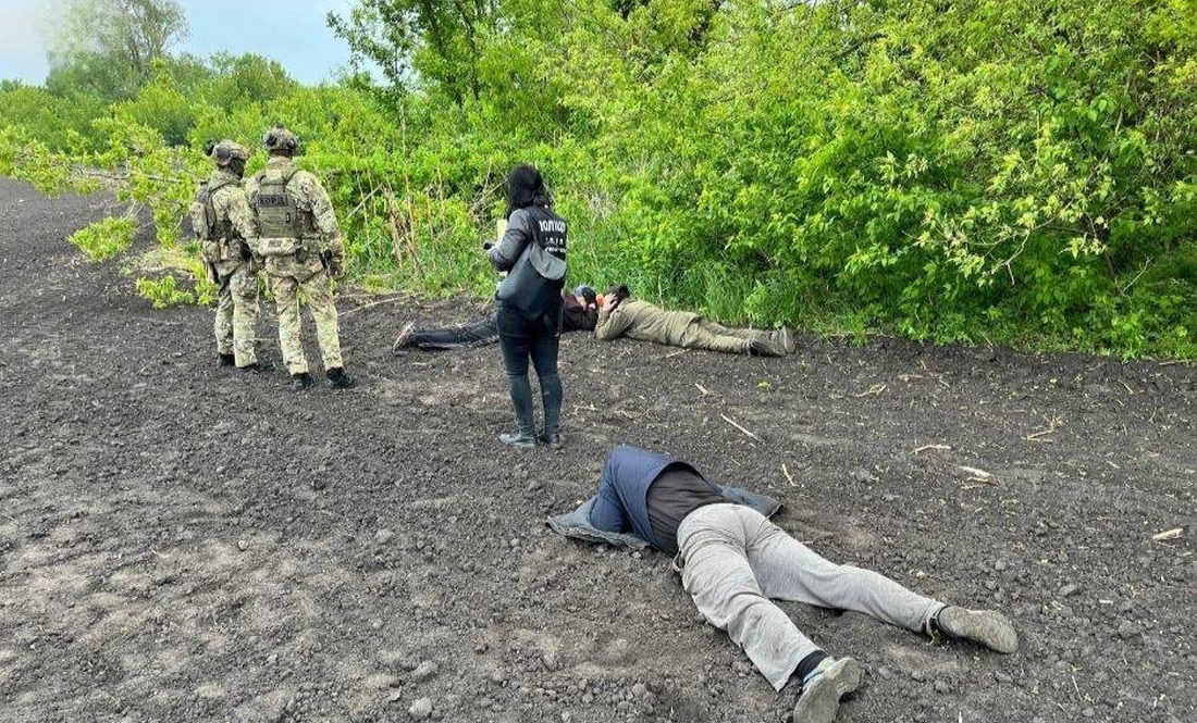 На Чернігівщині судитимуть чотирьох учасників ОЗГ за незаконну порубку дерев на майже 5,5 млн грн