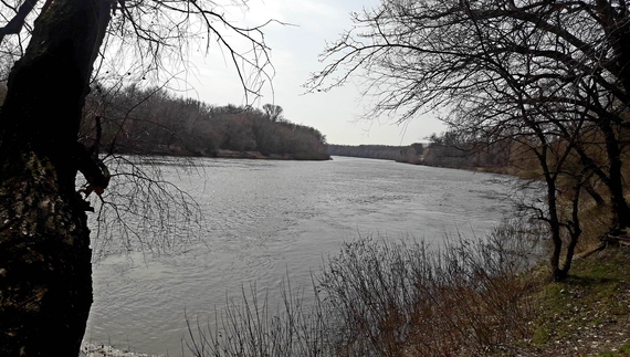 Рівень води в річках Чернігівщині продовжує стрімко зростати