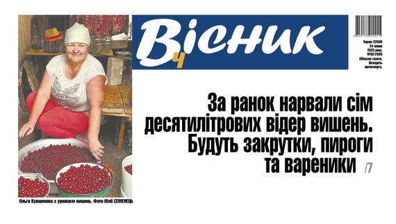 За ранок нарвали сім десятилітрових відер вишень. Читайте у "Віснику"