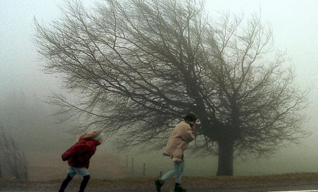 Синоптики попередили про небезпечне посилення вітру на Чернігівщині
